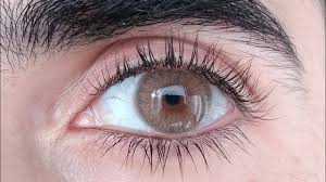 SIESTA  CRYSTAL BROWN