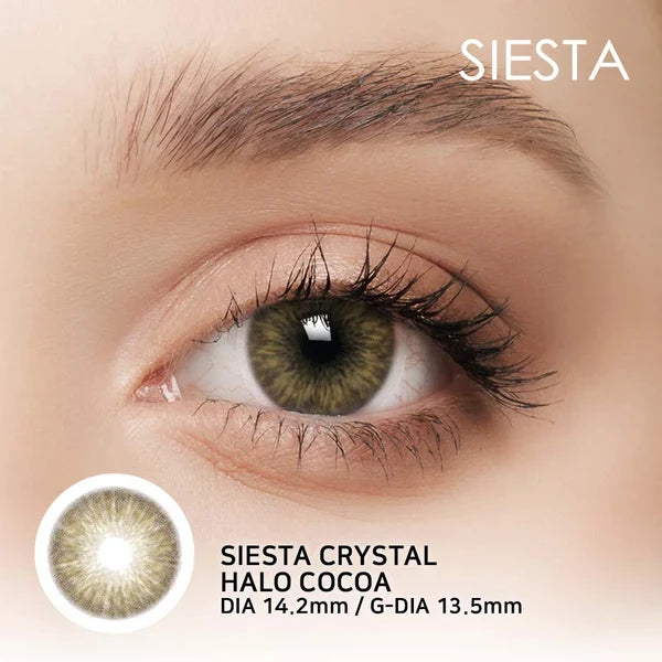 SIESTA  HALO Cocoa