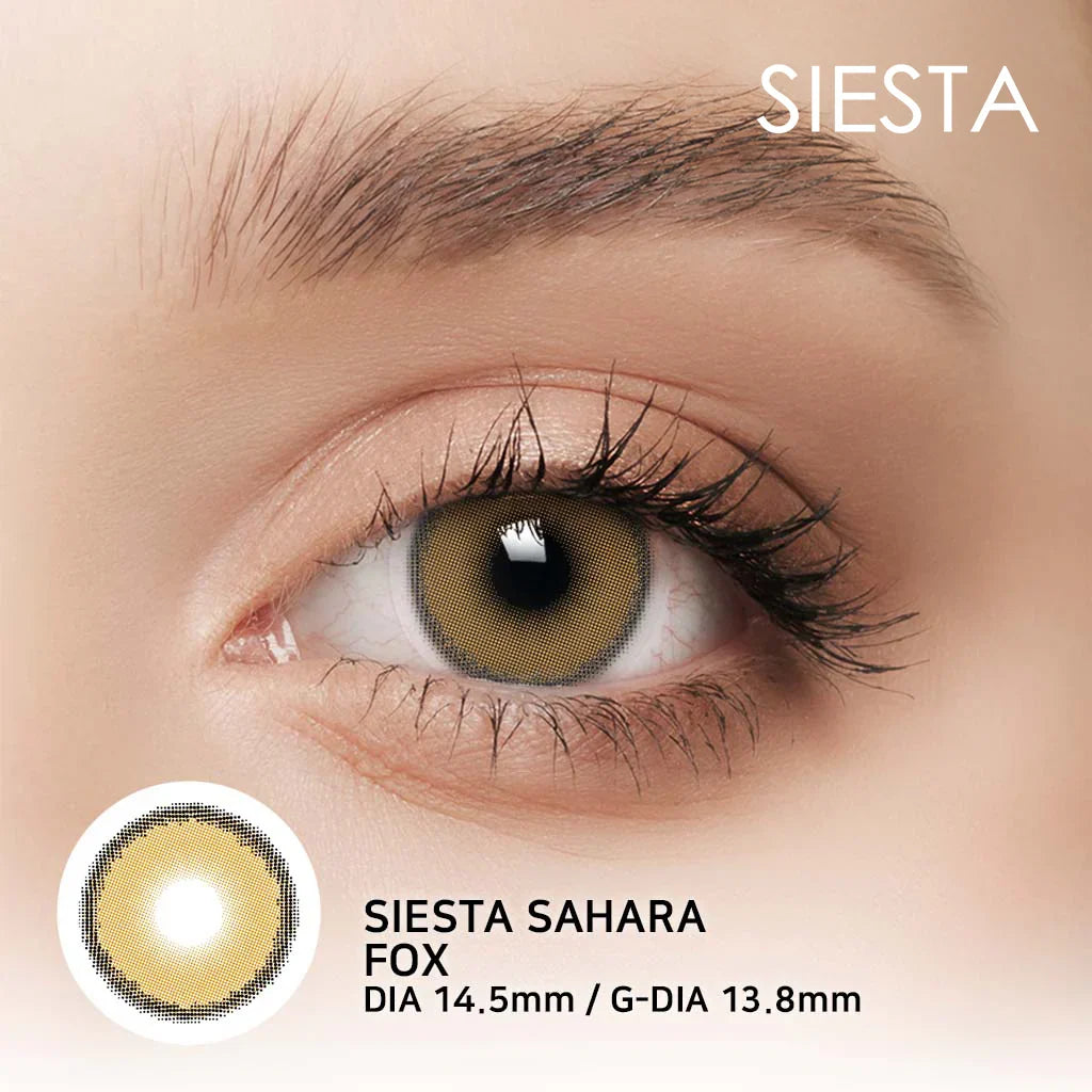 SIESTA  SAHARA FOX
